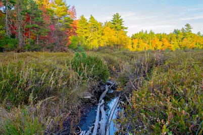 Tbd New Dam Road, Waterboro, ME 04061 - Photo 19