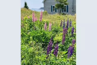 86 Mill Pond Road, Beals, ME 04611 - Photo 57