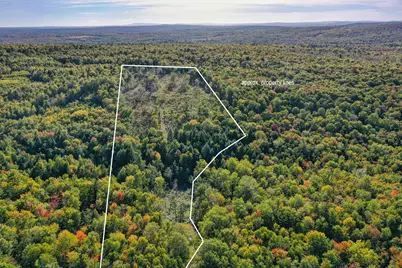 Lot 37 Wedge Heights Road, Orland, ME 04472 - Photo 21