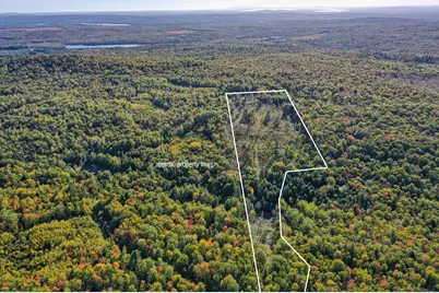 Lot 37 Wedge Heights Road, Orland, ME 04472 - Photo 3