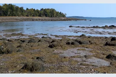L1-1,2,3,4 Birch Point Road, Perry, ME 04667 - Photo 11