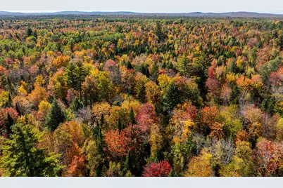 Tbd 22Acre US Rt One, Waite, ME 04492 - Photo 5