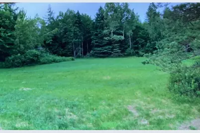 Tbd 22Acre US Rt One, Waite, ME 04492 - Photo 3