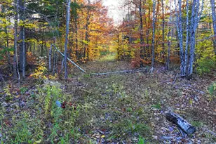 17 Treetop Ln, Jay, ME 04239 - Photo 101