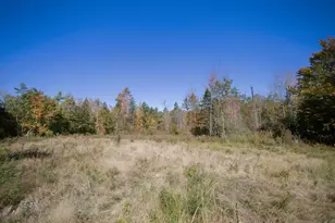 17 Treetop Ln, Jay, ME 04239 - Photo 79