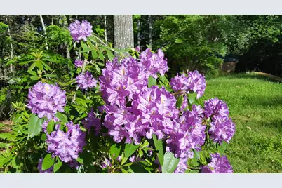 3 Rocky Road, Westport, ME 04578 - Photo 53