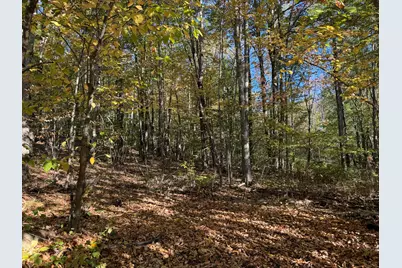00 Ross Hill Road, Saint Albans, ME 04971 - Photo 3
