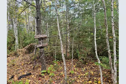 Map R09, Lot 12, Fox Run Drive, Mariaville, ME 04605 - Photo 15
