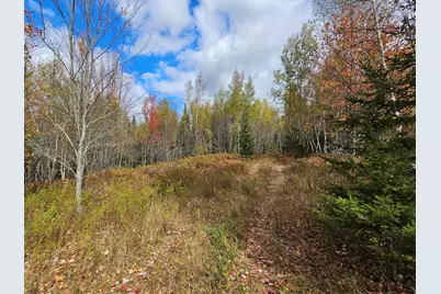 Map R09, Lot 12, Fox Run Drive, Mariaville, ME 04605 - Photo 1