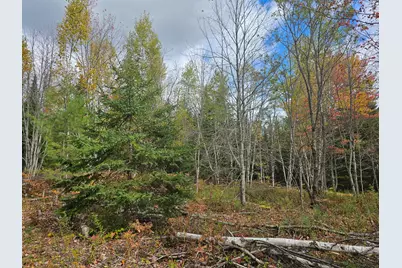 Map R09, Lot 12, Fox Run Drive, Mariaville, ME 04605 - Photo 13