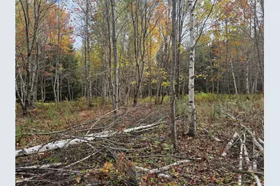 Map R09, Lot 12, Fox Run Drive, Mariaville, ME 04605 - Photo 11