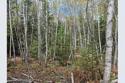 Map R09, Lot 12, Fox Run Drive, Mariaville, ME 04605 - Photo 9