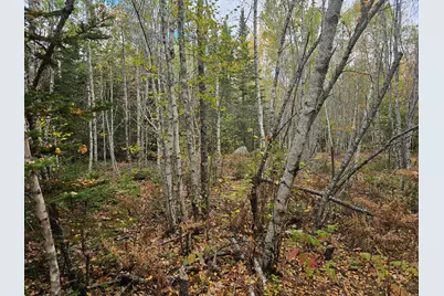 Map R09, Lot 12, Fox Run Drive, Mariaville, ME 04605 - Photo 17