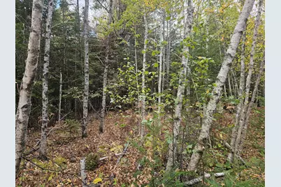 Map R09, Lot 12, Fox Run Drive, Mariaville, ME 04605 - Photo 19