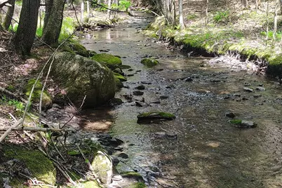 463 Clover Mill Road, Farmington, ME 04938 - Photo 3