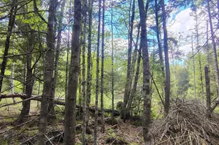 463 Clover Mill Rd, Farmington, ME 04938 - Photo 45
