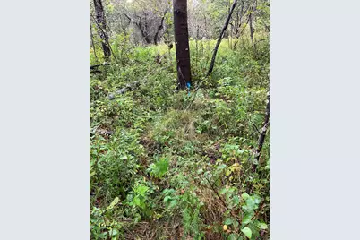 00 Scotts Hill Road, East Machias, ME 04630 - Photo 1