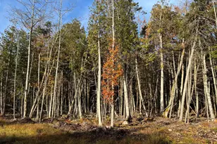 070-014 Sunrise Shore Rd, Steuben, ME 04680 - Photo 1