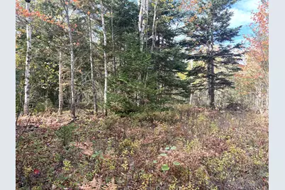 Lot 22 Off South Meadow & Roys Way Road, Perry, ME 04667 - Photo 11