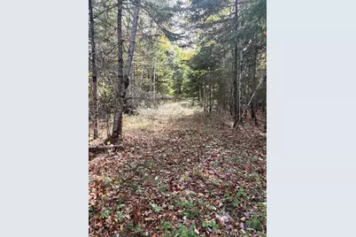 Lot 22 Off South Meadow & Roys Way Road, Perry, ME 04667 - Photo 13