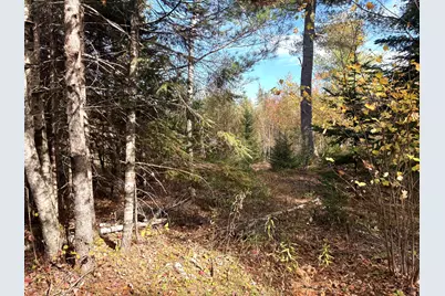 Lot 22 Off South Meadow & Roys Way Road, Perry, ME 04667 - Photo 9