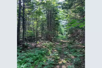 341 US Route 1, Weston, ME 04424 - Photo 93