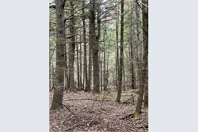 Lot 3-B West Branch Road, Mariaville, ME 04605 - Photo 19