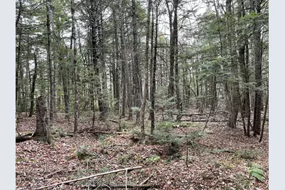 Lot 3-B West Branch Road, Mariaville, ME 04605 - Photo 13