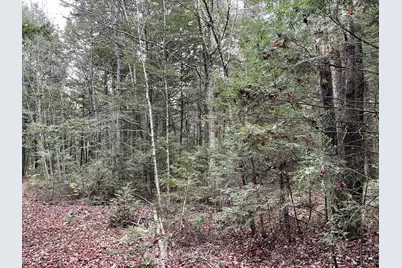 Lot 3-B West Branch Road, Mariaville, ME 04605 - Photo 9