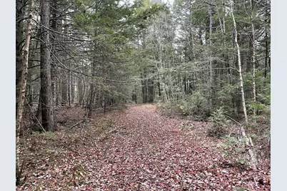 Lot 3-B West Branch Road, Mariaville, ME 04605 - Photo 11