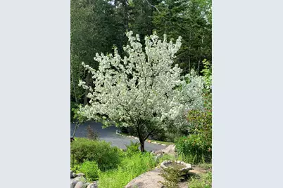 20 Toms Trail, Greenville, ME 04441 - Photo 77