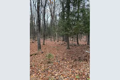 Lot 18 Shore Road, Dexter, ME 04930 - Photo 1