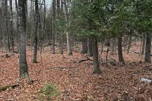 Lot 18 Shore Rd, Dexter, ME 04930 - Photo 1