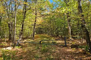 0 Canton Mountain Rd, Canton, ME 04221 - Photo 61