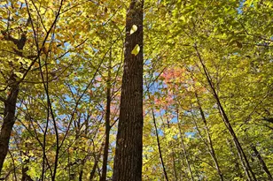 0 Canton Mountain Rd, Canton, ME 04221 - Photo 87