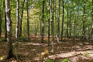 0 Canton Mountain Rd, Canton, ME 04221 - Photo 75