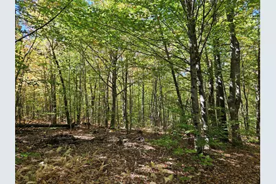 0 Canton Mountain Road, Canton, ME 04221 - Photo 71