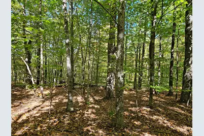 0 Canton Mountain Road, Canton, ME 04221 - Photo 77