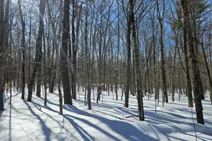 0 Canton Mountain Rd, Canton, ME 04221 - Photo 47
