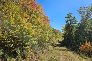 0 Canton Mountain Rd, Canton, ME 04221 - Photo 57