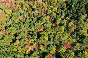 0 Canton Mountain Rd, Canton, ME 04221 - Photo 7