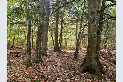 0 Canton Mountain Road, Canton, ME 04221 - Photo 85