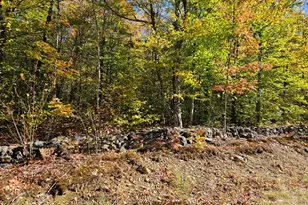 0 Canton Mountain Rd, Canton, ME 04221 - Photo 59