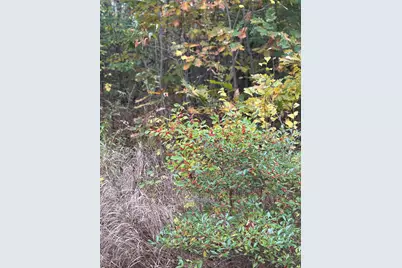 00 Beechland Road, Ellsworth, ME 04605 - Photo 17