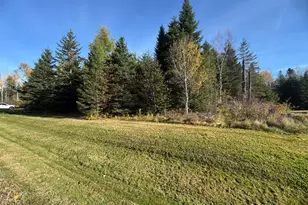 M2 L39-1 Pease Rd, Mapleton, ME 04757 - Photo 1