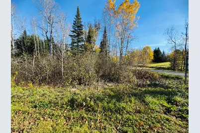 M2 L39-1 Pease Road, Mapleton, ME 04757 - Photo 3