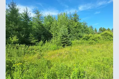 Lot 36-D Grimes Road, Caribou, ME 04736 - Photo 3