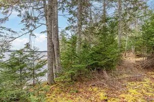 11 Quiet Shore Rd, Steuben, ME 04680 - Photo 19