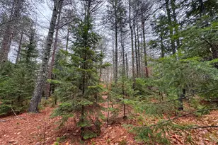 43 Fleming Rd, Bethel, ME 04217 - Photo 43