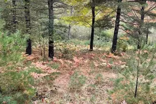 Map4Lot3 E Bucksport Rd, Orrington, ME 04474 - Photo 19